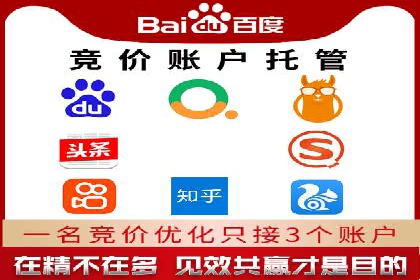 百度竞价推广公司经典案例解析：广告投放策略的智慧